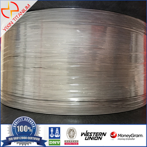 Titanium Wire Gr1 Φ1.0mm R/M